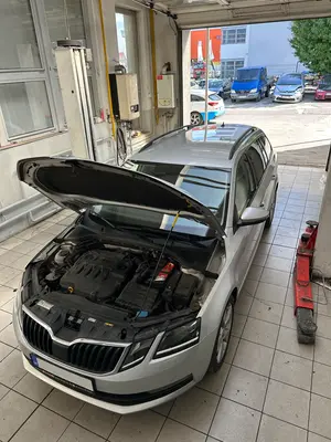 Obhliadka auta pri kúpe